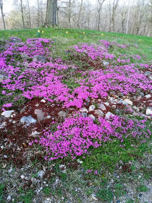 Creek Valley Mobile Home Park Picture 9