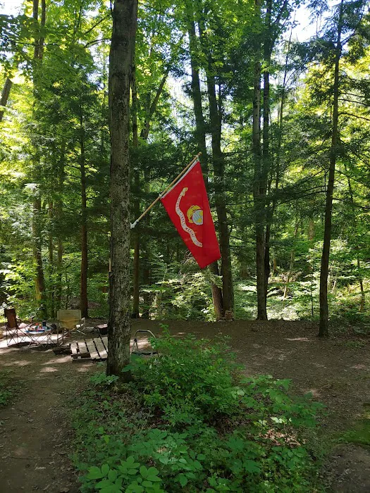 East Otto State Forest Campground Picture 10
