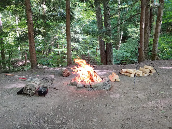 East Otto State Forest Campground Picture 9