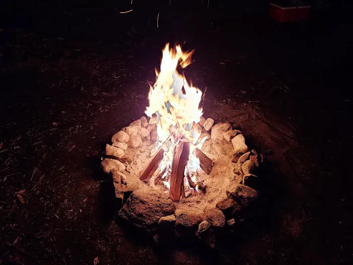 East Otto State Forest Campground Picture 3