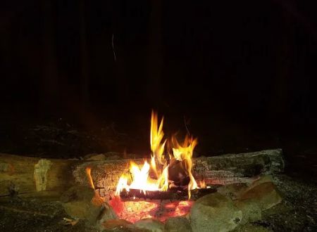 East Otto State Forest Campground