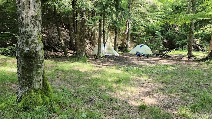 Minister Creek Campground Picture 2