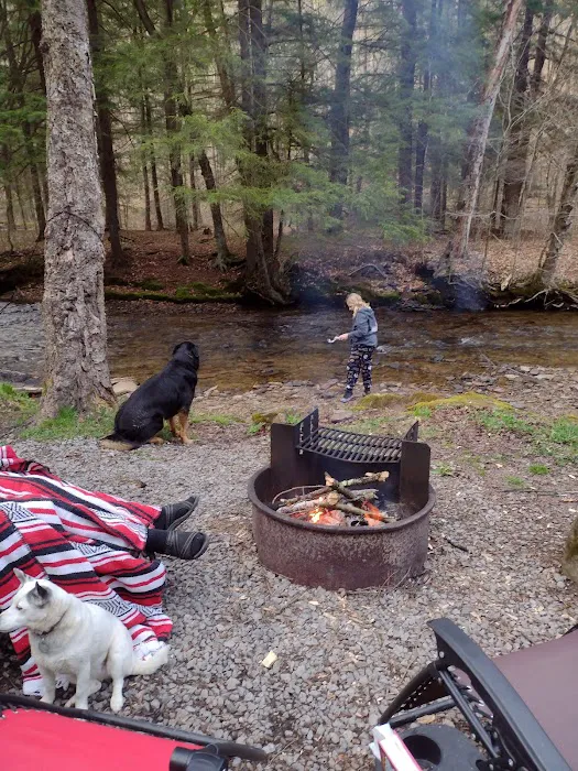 Minister Creek Campground Picture 8