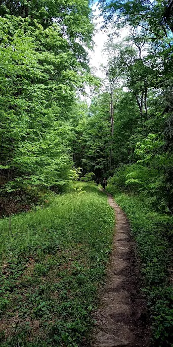 Minister Creek Campground Picture 3