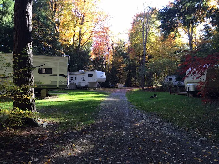 Woodside Campsites Picture 1