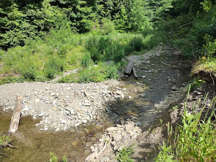 Woodside Campsites Picture 8