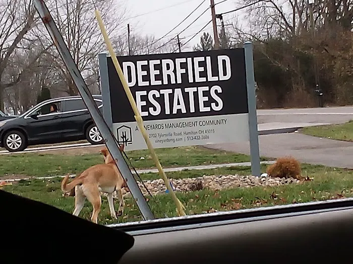 Deerfield Mobile Home Community Picture 3