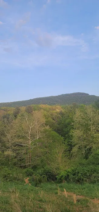 Mountainview RV Campground Picture 9