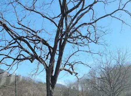 Mountainview RV Campground