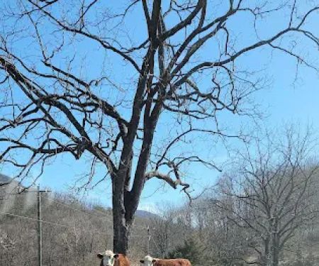 Mountainview RV Campground