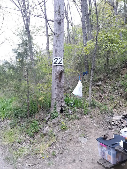 Gooney Creek Campgrounds Picture 7