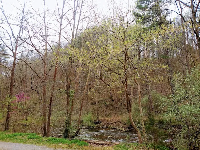 Gooney Creek Campgrounds Picture 8