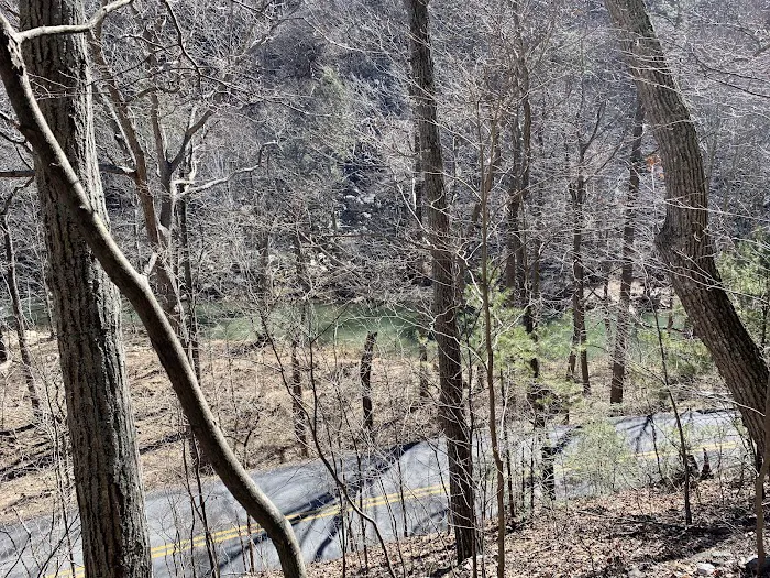 Elizabeth Furnace Recreational Area Picture 9