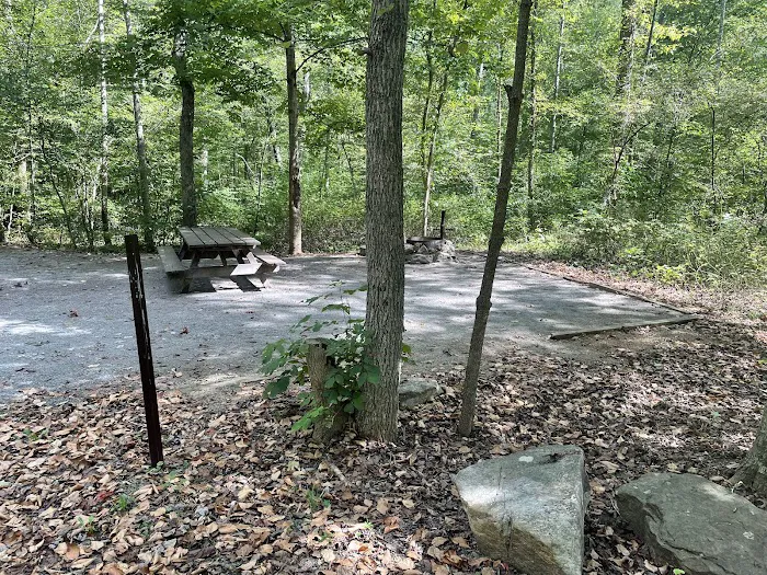 Elizabeth Furnace Recreational Area Picture 7