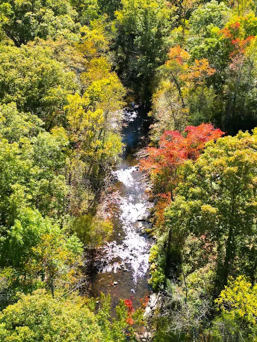 Elizabeth Furnace Recreational Area Picture 8