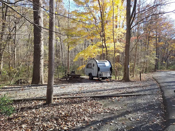 Elizabeth Furnace Family Campground Picture 4