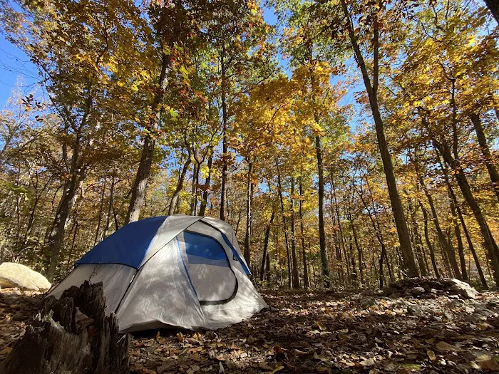 Elizabeth Furnace Family Campground Picture 3