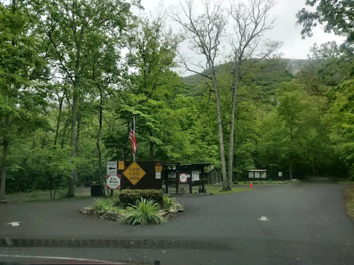 Elizabeth Furnace Family Campground Picture 9