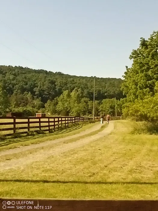Double Spur Outfitters Picture 5