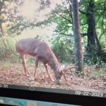 Pleasant Hill Mobile Home Park