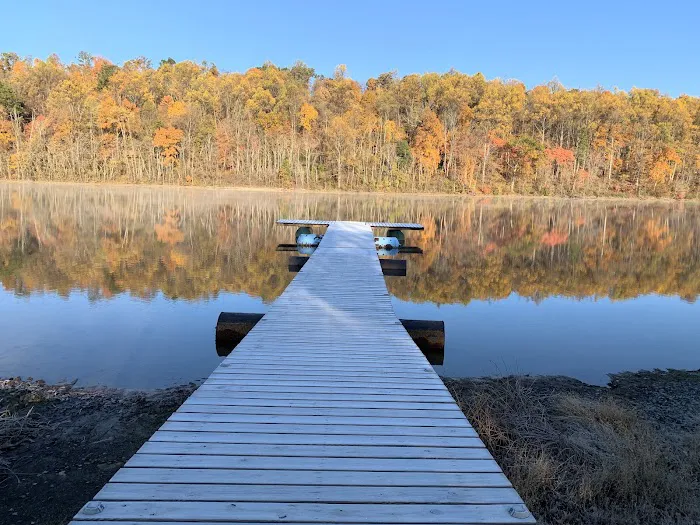 The Cove Campground Picture 7