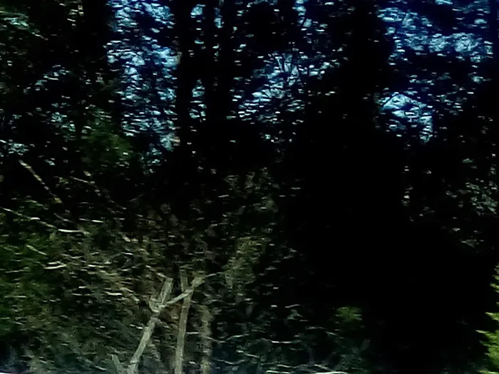 Royal Hills Village Picture 7