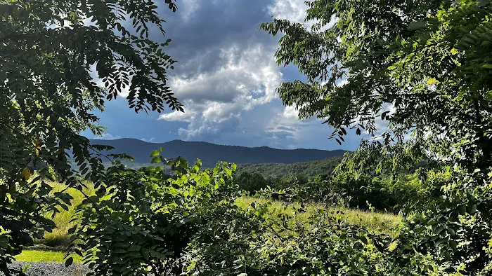 Shenandoah River State Park RV Campground Picture 2