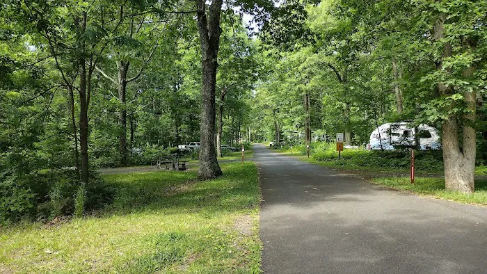 Mathews Arm Campground Picture 3