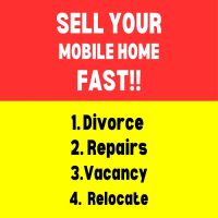 The Mobile Home Girl ico