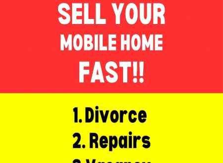 The Mobile Home Girl