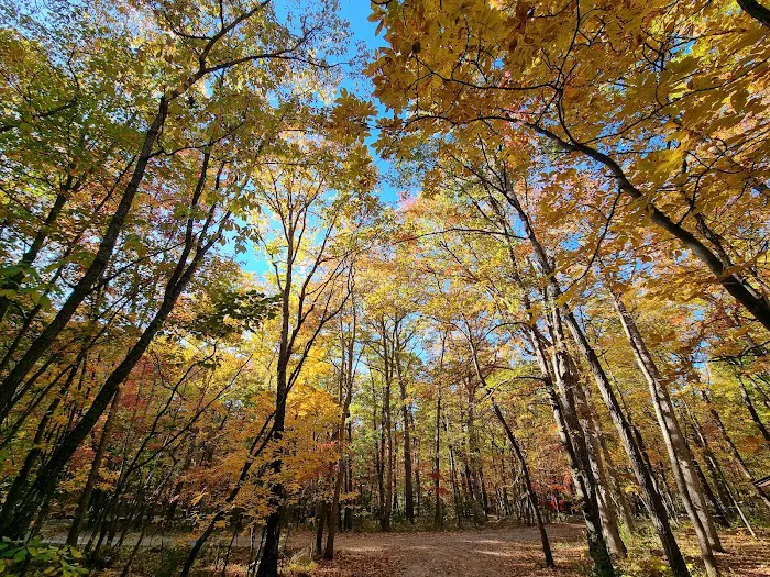 Hawk Recreation Area Picture 4