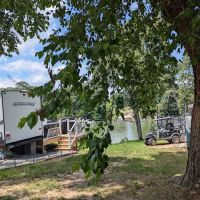 Bush Park Camping Resort ico