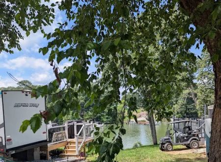 Bush Park Camping Resort