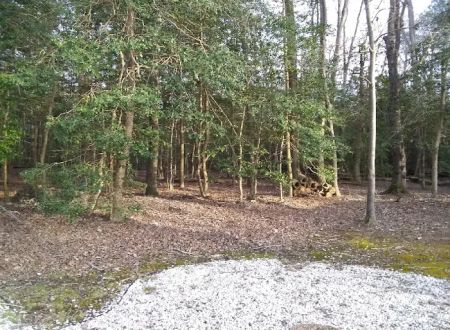 River Retreat Campground