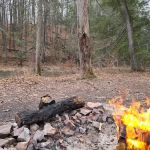 Green Ridge Campsite #81
