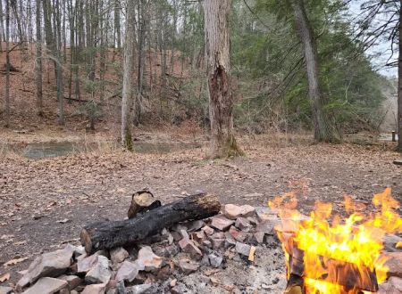 Green Ridge Campsite #81