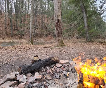 Green Ridge Campsite #81