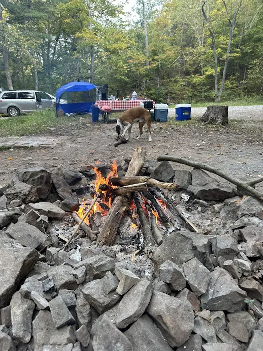 Green Ridge Campsite #81 Picture 6
