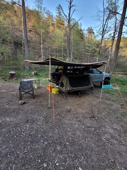 Green Ridge Campsite #81 Picture 7