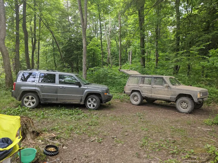 Green Ridge Campsite #81 Picture 2