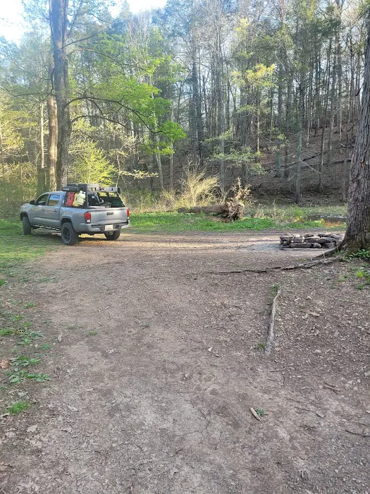 Green Ridge Campsite #81 Picture 9