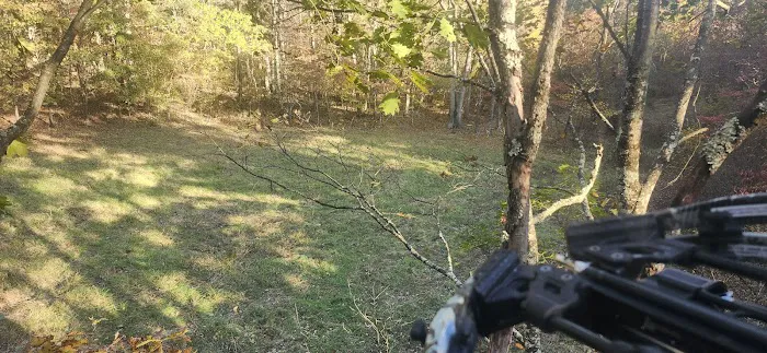 Campsite 78 Picture 4