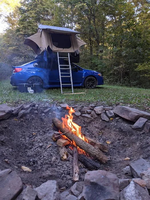 Campsite 78 Picture 1