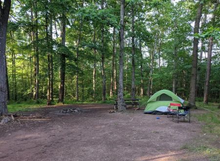 Campsite 74