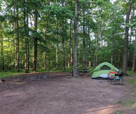 Campsite 74