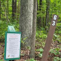 Group Campsite G-3 ico