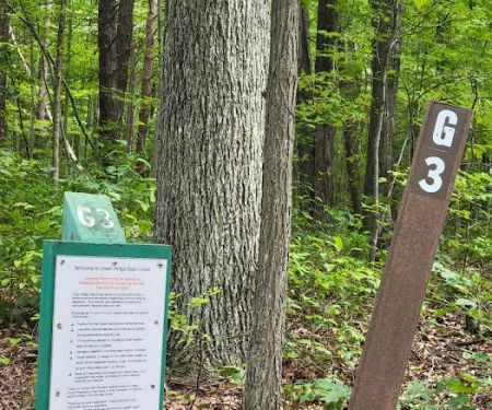 Group Campsite G-3