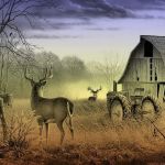Whitley Mobile Home Park LLC
