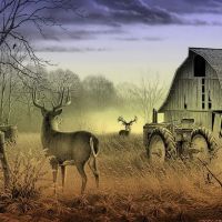 Whitley Mobile Home Park LLC ico
