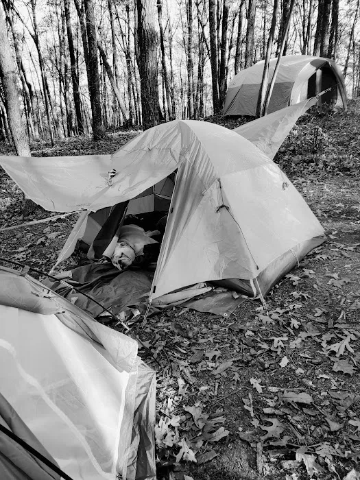 Campsite 72 Picture 8